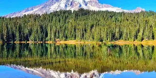 Seattle Mount Rainier National Park Day Tour