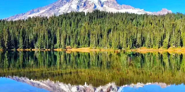 Seattle Mount Rainier National Park Day Tour - Image 1