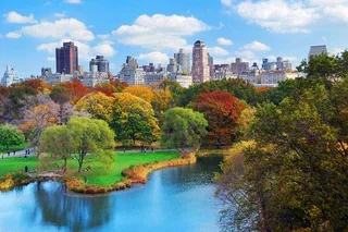 New York City Private Walking Tour