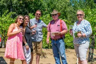 Napa Wine Tour with Winemaker Lunch 6.5 hr thumbnail 1