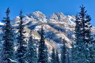 Anchorage Winter Valley and Forest Hike thumbnail 3