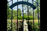 Savannah Bonaventure Cemetery Van Tour thumbnail 2