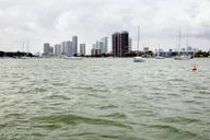 Miami Duck Tour of South Beach thumbnail 5