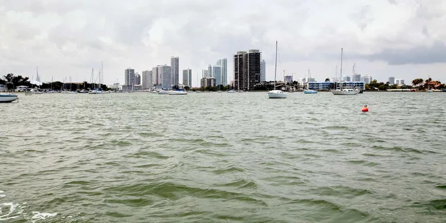 Miami Duck Tour of South Beach - Image 5