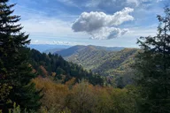 Oconaluftee Scenic Valley Tour thumbnail 4