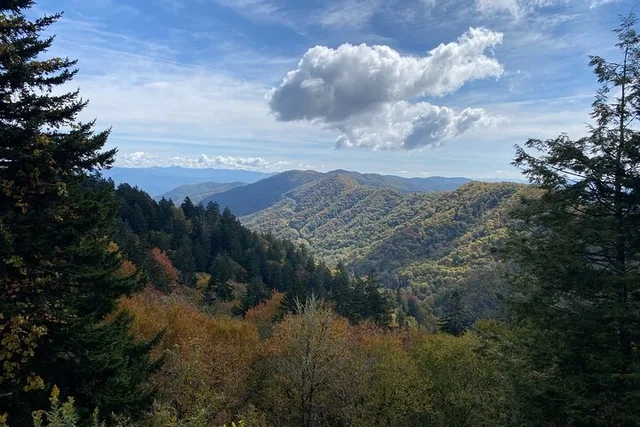 Oconaluftee Scenic Valley Tour - Image 4