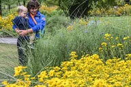 Memphis Botanic Garden Entry Ticket thumbnail 2