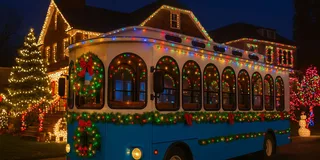 New York Dyker Heights Christmas Lights Tour 4 hr
