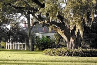 New Orleans Plantation and Airboat Tour
