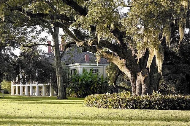New Orleans Plantation and Airboat Tour - Image 1
