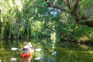 Dora Canal Paddle to Brunch Adventure