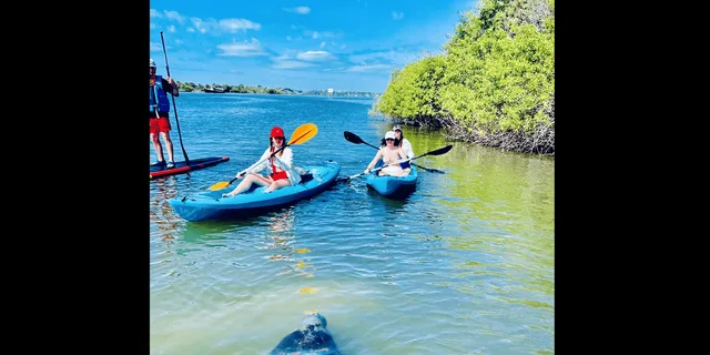 Daytona Beach Kayaking and Paddleboarding Tour - Image 5