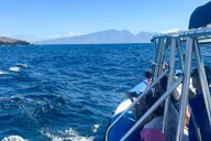Maui Dolphin Watch Eco-Raft Tour 2 hr thumbnail 2