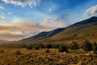 Yellowstone Winter Wildlife Tour thumbnail 6