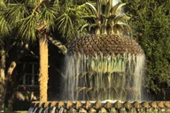 Charleston French Quarter Guided Walking Tour thumbnail 2