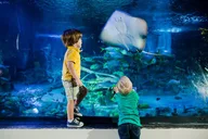 Grapevine Aquarium Admission thumbnail 2