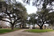 Charleston Day Trip with Fort Sumter and Carriage Tour thumbnail 2