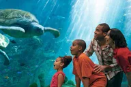 Orlando SeaWorld Park Admission thumbnail 3
