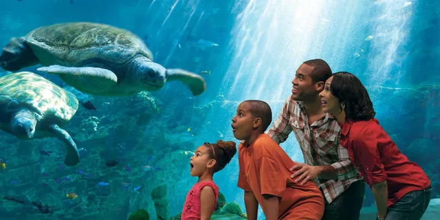 Orlando SeaWorld Park Admission - Image 3