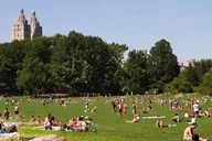 New York City Central Park Walking Tour thumbnail 4