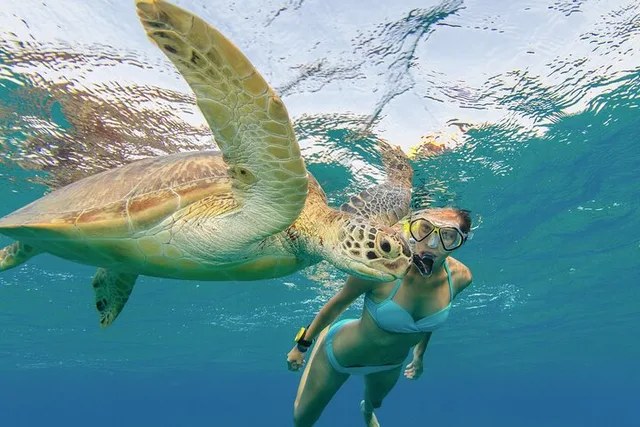 Oahu Snorkeling Adventure with Turtle and Water Scooter - Image 2