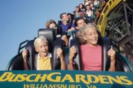 Williamsburg Busch Gardens Ticket & Water Country Option thumbnail 4