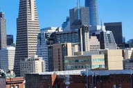 San Francisco Walking Tour with Cable Car Ride thumbnail 3