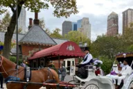 New York Central Park Horse-Drawn Carriage Ride thumbnail 6