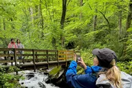 Smokies Custom Private Tour thumbnail 2