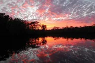 Waccamaw River Nature and Wildlife Tour thumbnail 6
