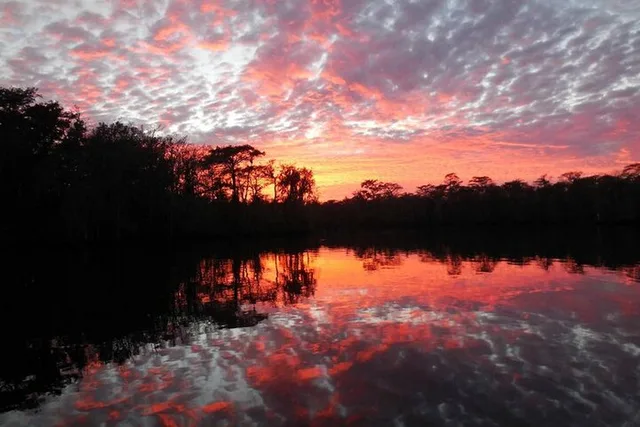 Waccamaw River Nature and Wildlife Tour - Image 6