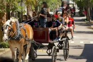 Charleston Historic Horse and Carriage Tour thumbnail 1