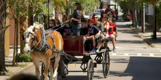 Charleston Historic Horse and Carriage Tour