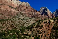 Las Vegas Zion National Park Private Transfer thumbnail 1