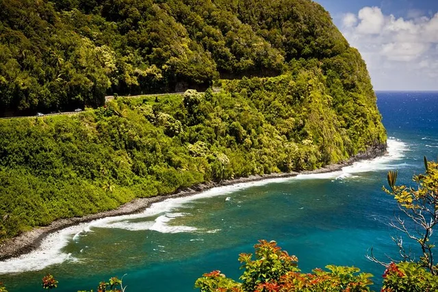 Maui Road to Hana Waterfalls and Black Sand Beach Tour - Image 4