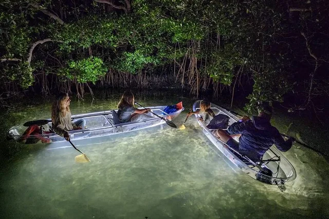 Anna Maria Island Clear Kayak LED Night Tour - Image 2