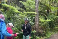 Volcanoes National Park Guided Hike thumbnail 4