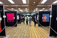 Paducah Quilt Festival Private Tour 2 Days thumbnail 4
