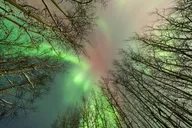 Aurora Chasing Tour in Northern Lights thumbnail 6