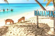 Miami to Bahamas Ferry Day Trip thumbnail 1