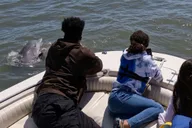 Hilton Head Island Dolphin and Nature Tour thumbnail 6