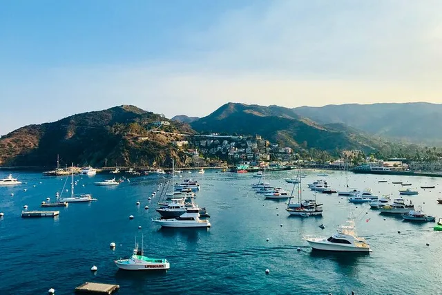 Avalon Private Tour from Catalina Island - Image 6
