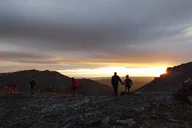 Denali Park Tour from Fairbanks thumbnail 4