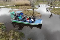 New Orleans Oak Alley Plantation and Airboat Tour thumbnail 3