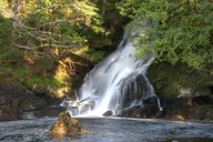 Ketchikan Private Tour with Pick Up thumbnail 3