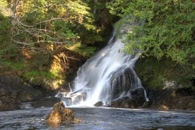 Ketchikan Private Tour with Pick Up - Image 3