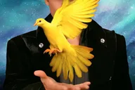 Las Vegas Magic Show thumbnail 1