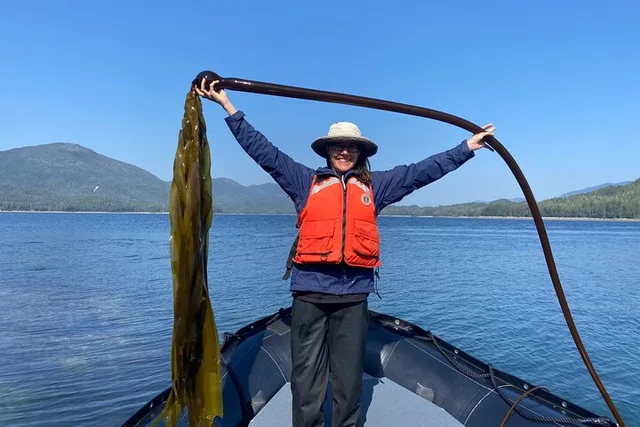 Ketchikan Ocean Wilderness Expedition - Image 3