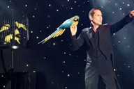 Las Vegas Variety Show thumbnail 5
