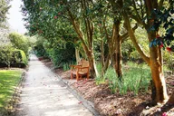 Charleston Middleton Place Tour with Lunch thumbnail 6